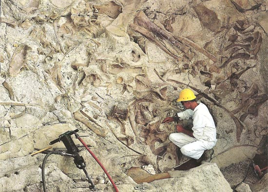 Dinosaur National Monument